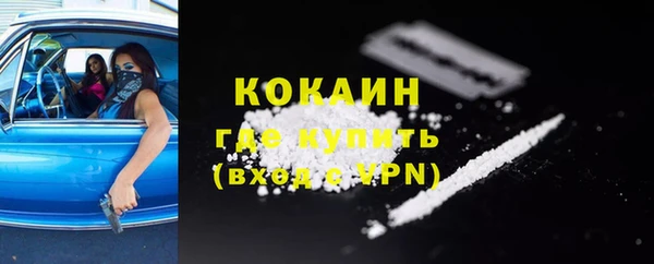 индика Абаза