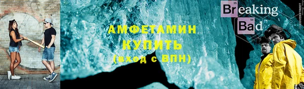 индика Абаза