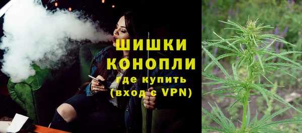 индика Абаза