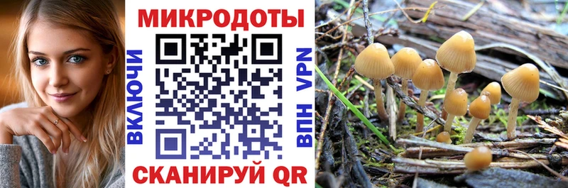 Псилоцибиновые грибы Magic Shrooms Таштагол