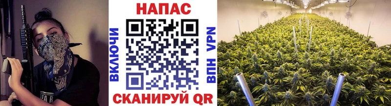хочу наркоту Таштагол Шишки марихуана тримм